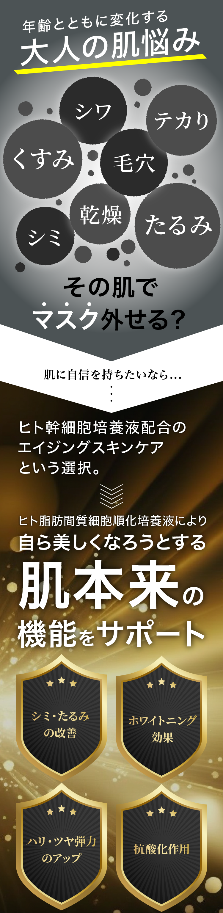 肌本来の機能をサポート